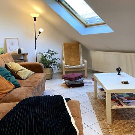 10Min Bus Strasbourg Centre-Parking Prive-Wifi-Tv Apartment Bischheim Екстериор снимка
